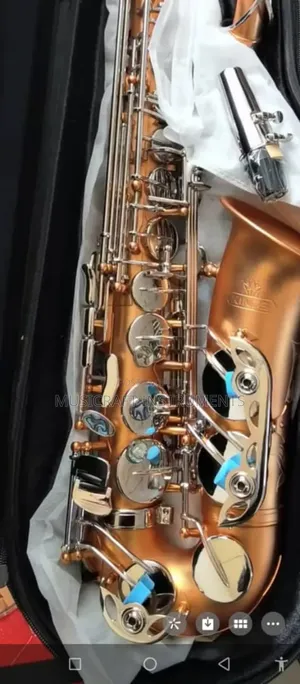 Kings Professional Alto Saxophones