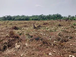 Full Plot of Land Ijegun Festac by Baptist Bustop