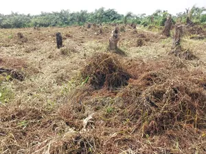 300square Meter Half Plot Ijegun Festac Link
