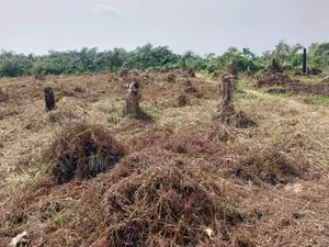 150sqm Quater New Ijegun Festac Link