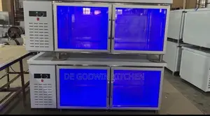 Double Door Display Counter Fridge