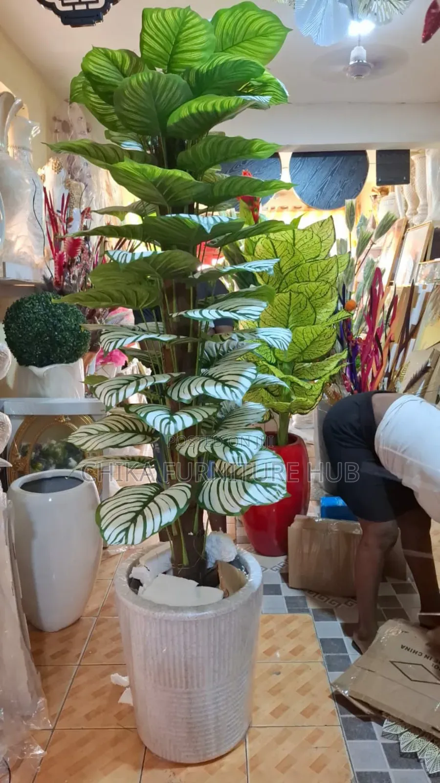 Quality Plants