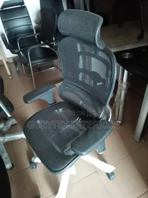 Executive Office Mesh Egunomic Chair