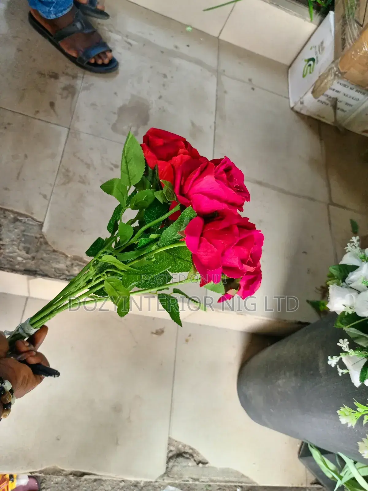 Single Roses