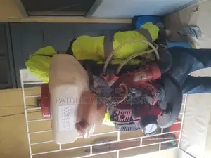 Patbless Fumigation and Pest Control