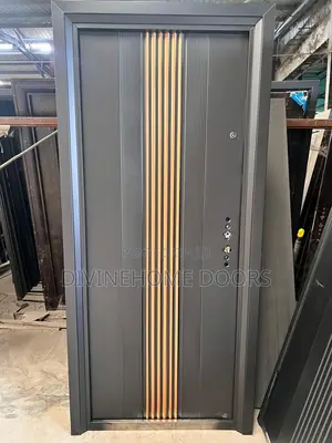 High Quality Steel Door