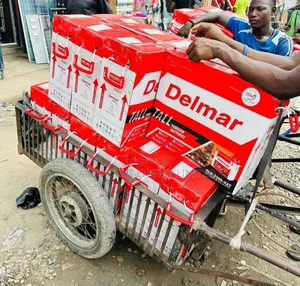 220ah Delmar Tubular Battery India Standard
