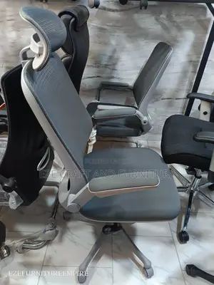 Ergonomic Adjustable Gray Office Chair
