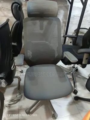 Ergonomic Adjustable Gray Office Chair