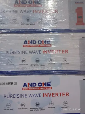 Andone 2kva 24v Hibrid Inverter