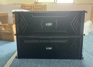 Pro Hero 10inches Line Array Speaker