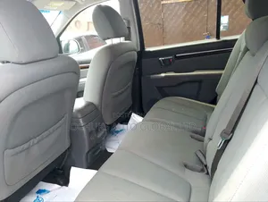 Hyundai Santa Fe 2010 Gray