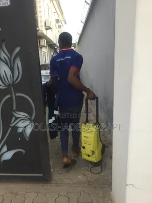 Professional Cleaning