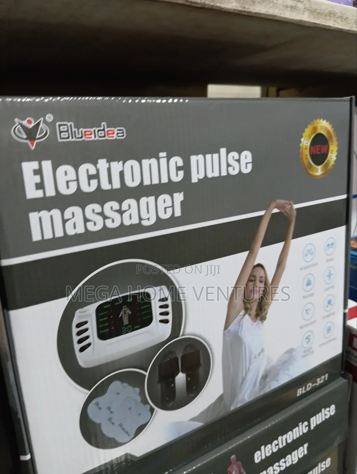Electronic Pulse Massager