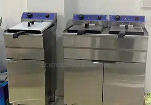Double Gas Deep Fryer