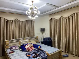 Curtains and Interior Decor