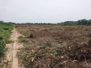 4 ( Four) Plots Ijegun Baptist Bustop by New Major RD