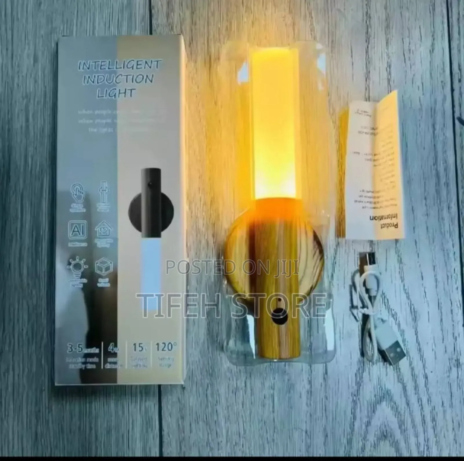 Induction Light