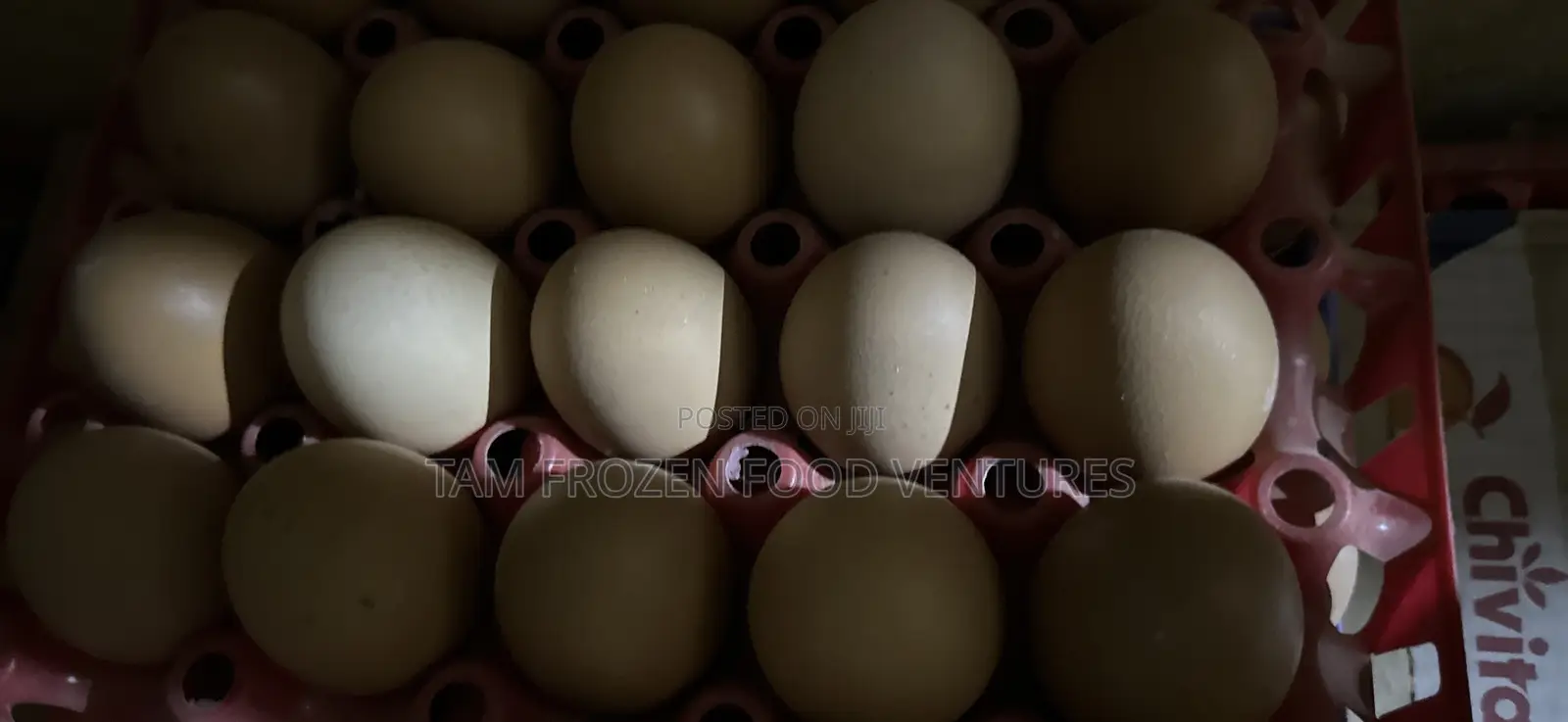 Eggs Directly From Farm
