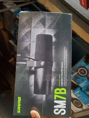 Shure Microphone