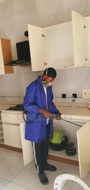 Fumigation Service You Can Trust