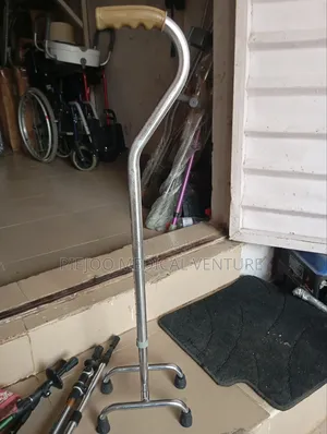 Walking Stick With 4 Stand