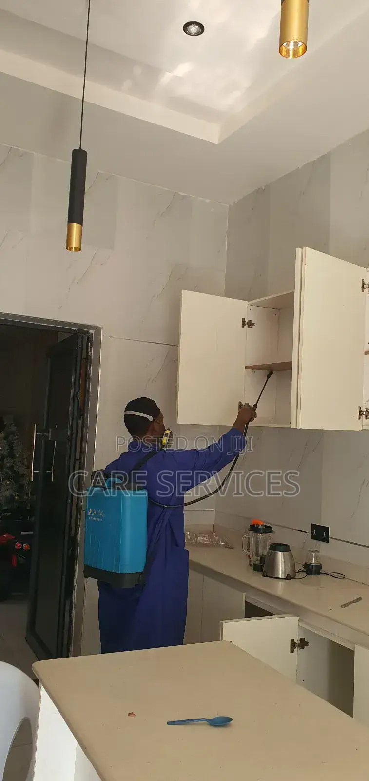 Kitchen Fumigation/Pest Control