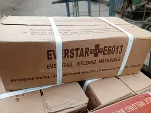 Everstar Electrode Ms