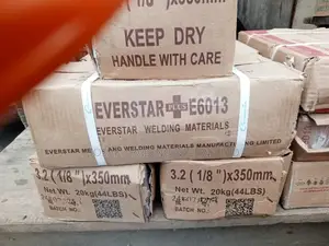 Everstar Electrode Ms