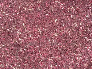 Hibiscus Shiffting Zobo