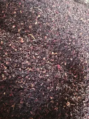 Hibiscus Shiffting Zobo