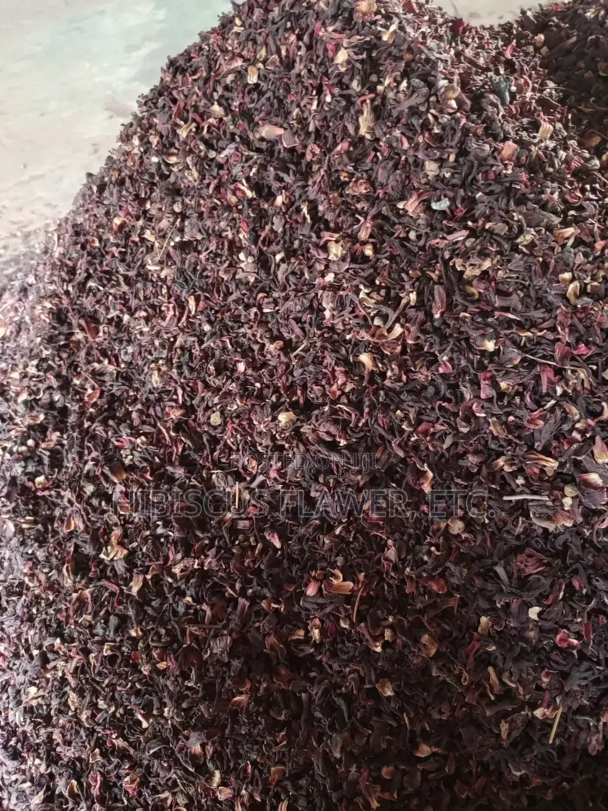 Hibiscus Shiffting Zobo