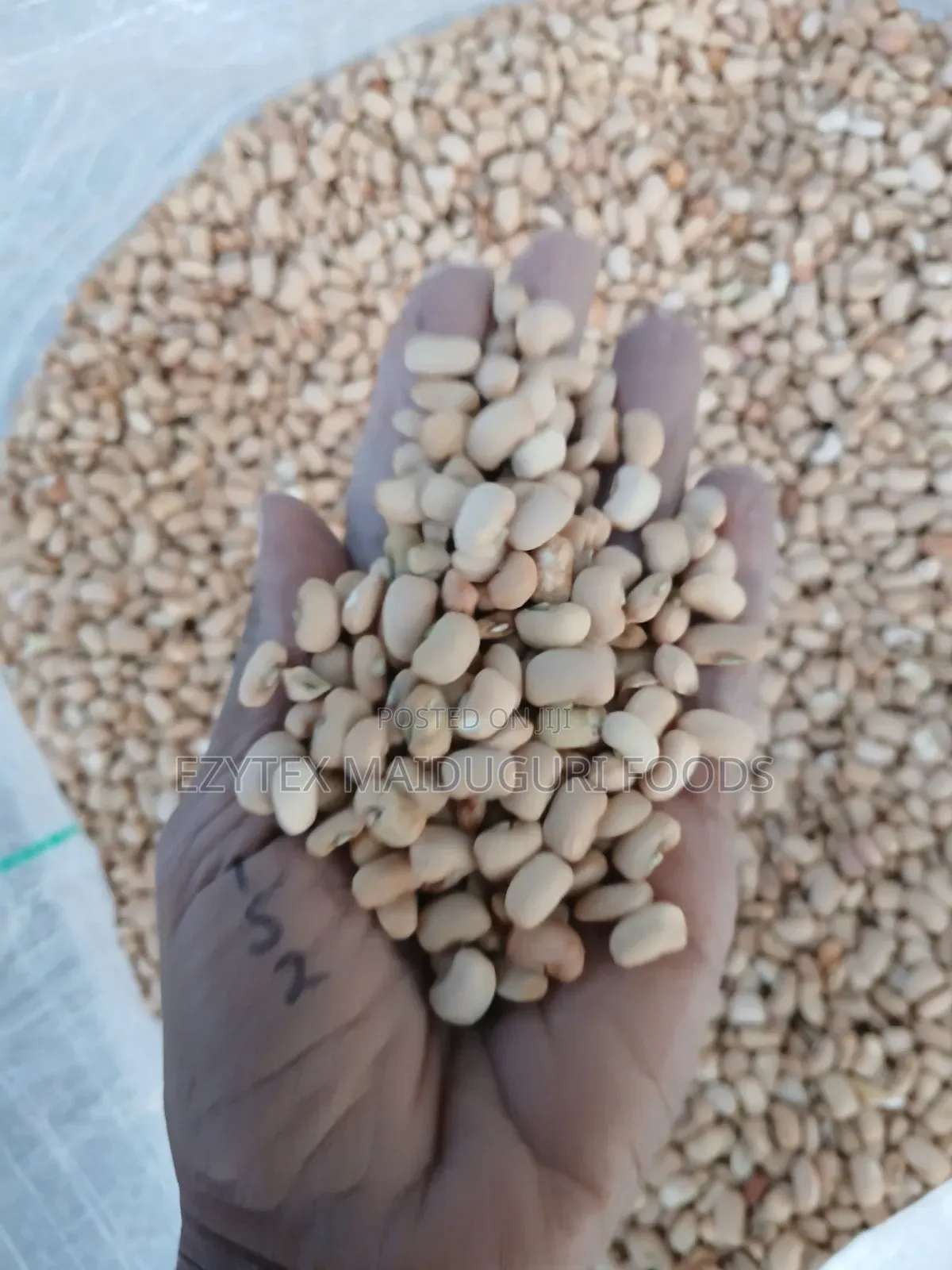Picked and Clean Senator Beans Grade 1 (50kg)