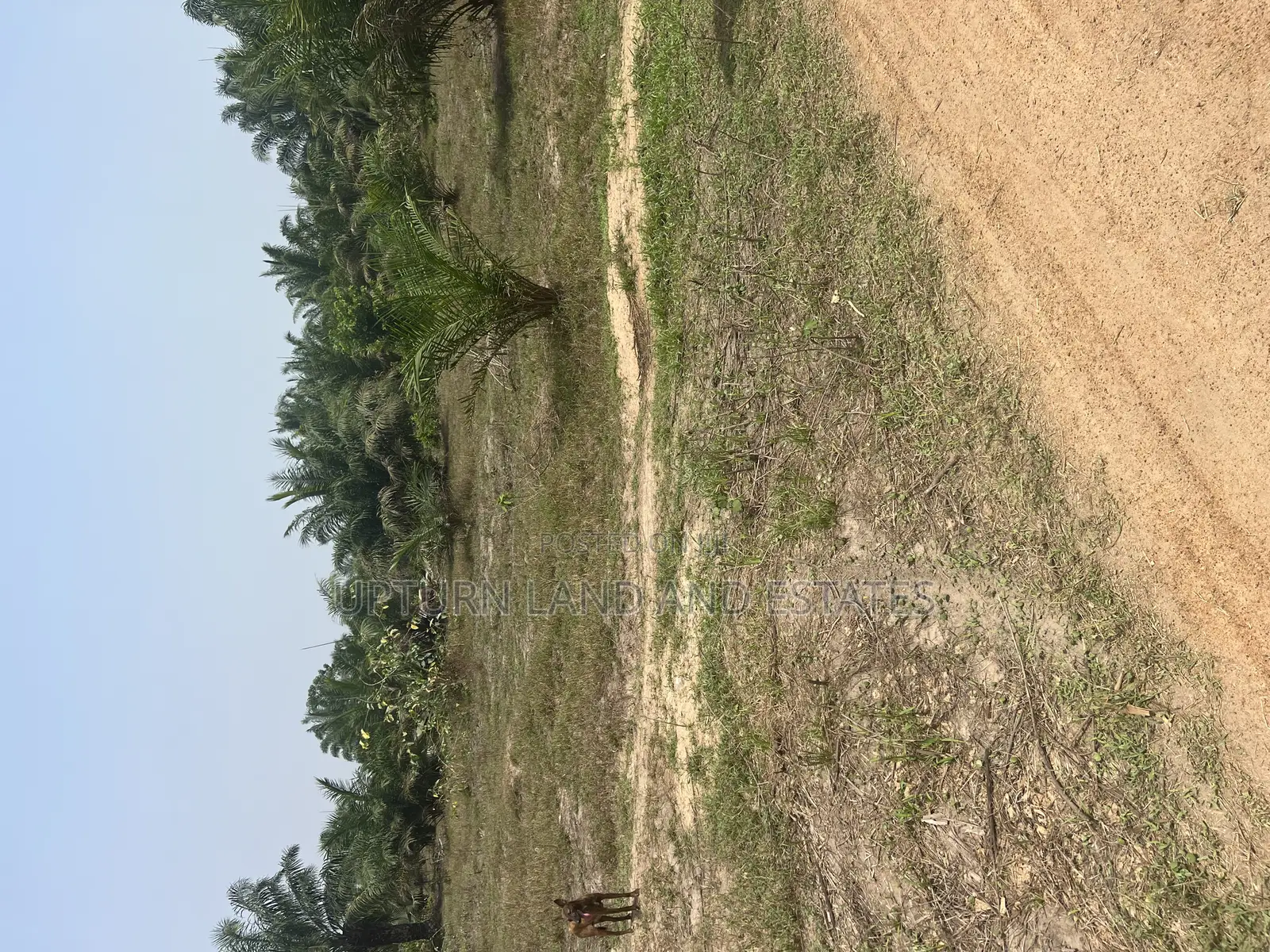 2000 Acres of Land for Sale at Odeda Abeokuta at Cheaper Rat