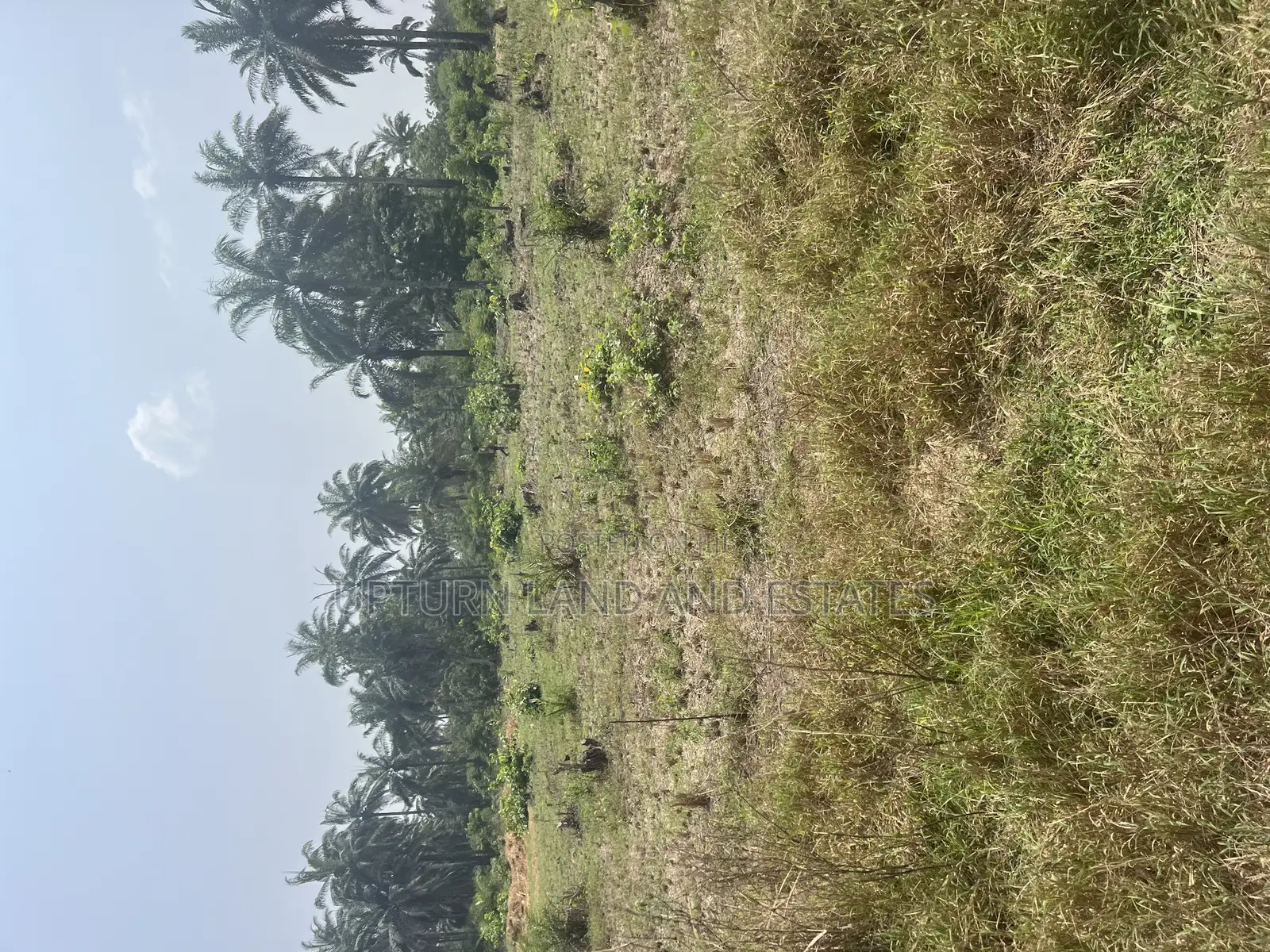 2000 Acres of Land for Sale at Odeda Abeokuta at Cheaper Rat