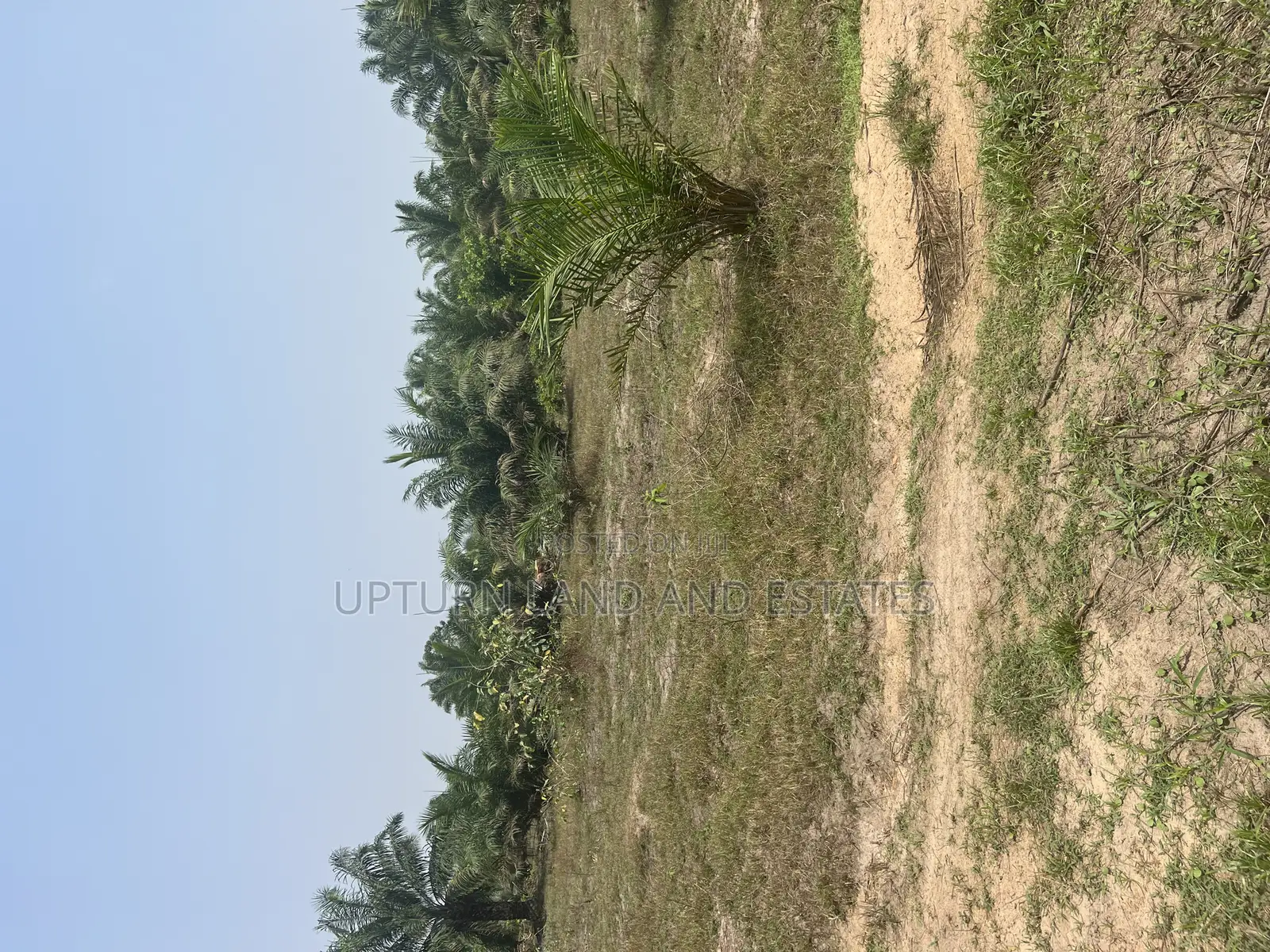 2000 Acres of Land for Sale at Odeda Abeokuta at Cheaper Rat