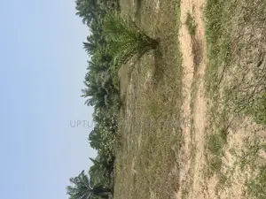 2000 Acres of Land for Sale at Odeda Abeokuta at Cheaper Rat