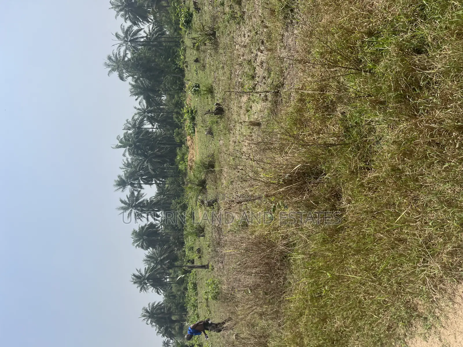 2000 Acres of Land for Sale at Odeda Abeokuta at Cheaper Rat