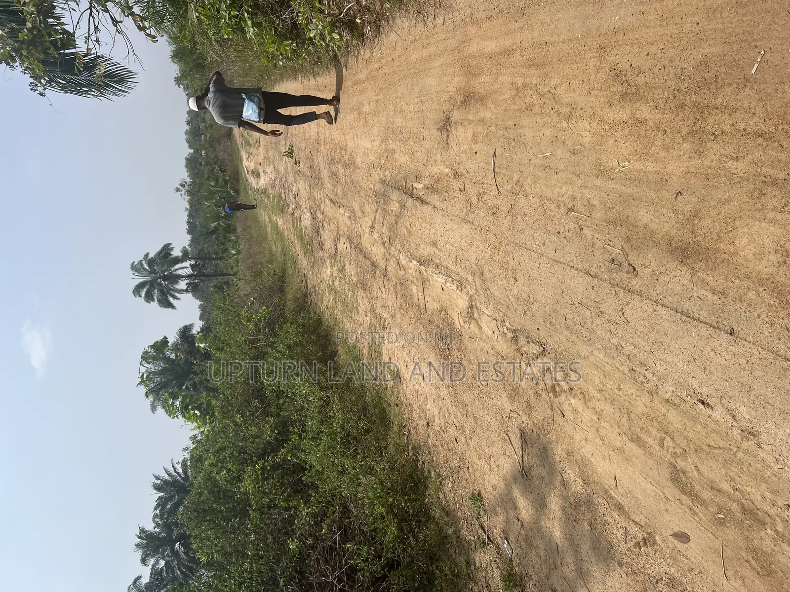 2000 Acres of Land for Sale at Odeda Abeokuta at Cheaper Rat