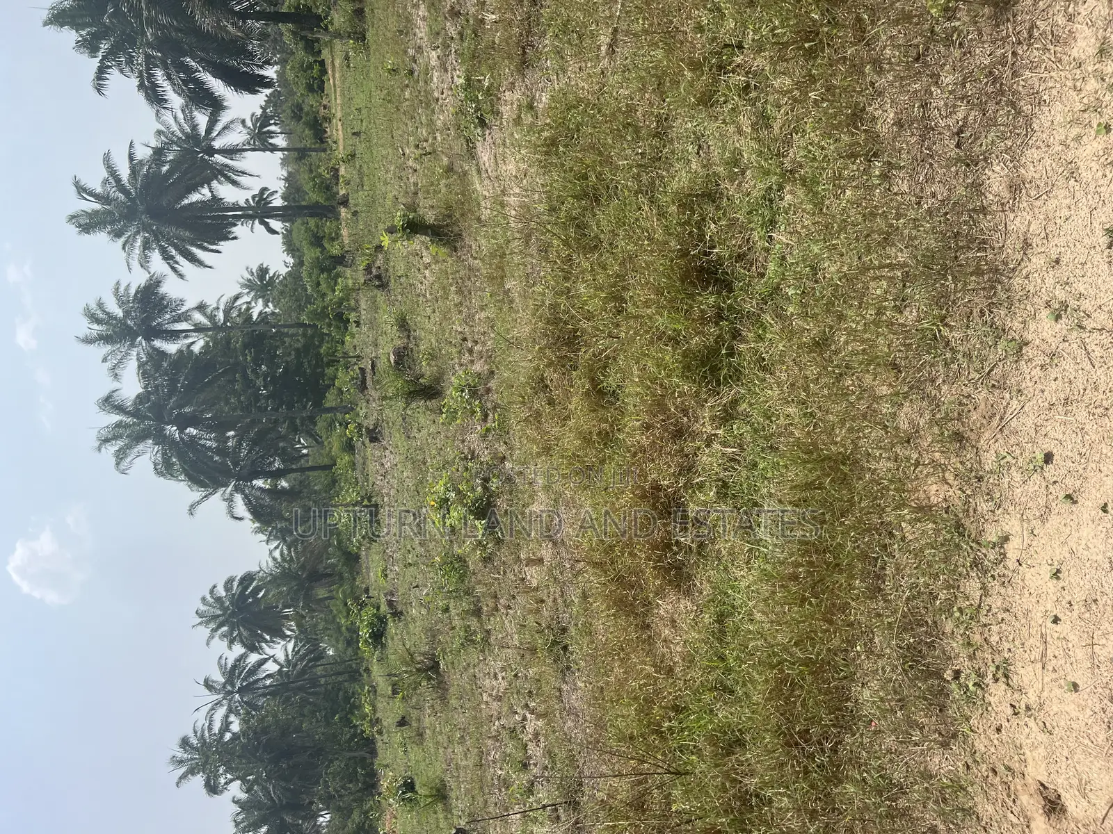 2000 Acres of Land for Sale at Odeda Abeokuta at Cheaper Rat