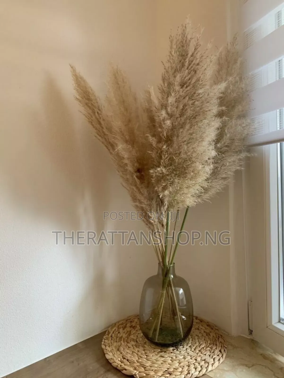 Foreign Panpas Grass