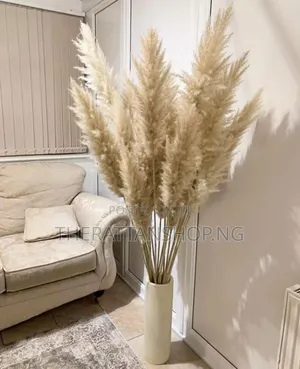 Foreign Panpas Grass