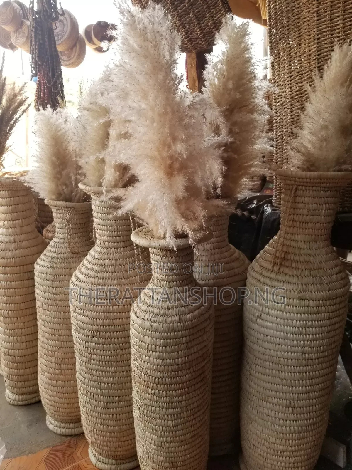 Foreign Panpas Grass