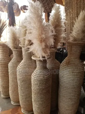Foreign Panpas Grass