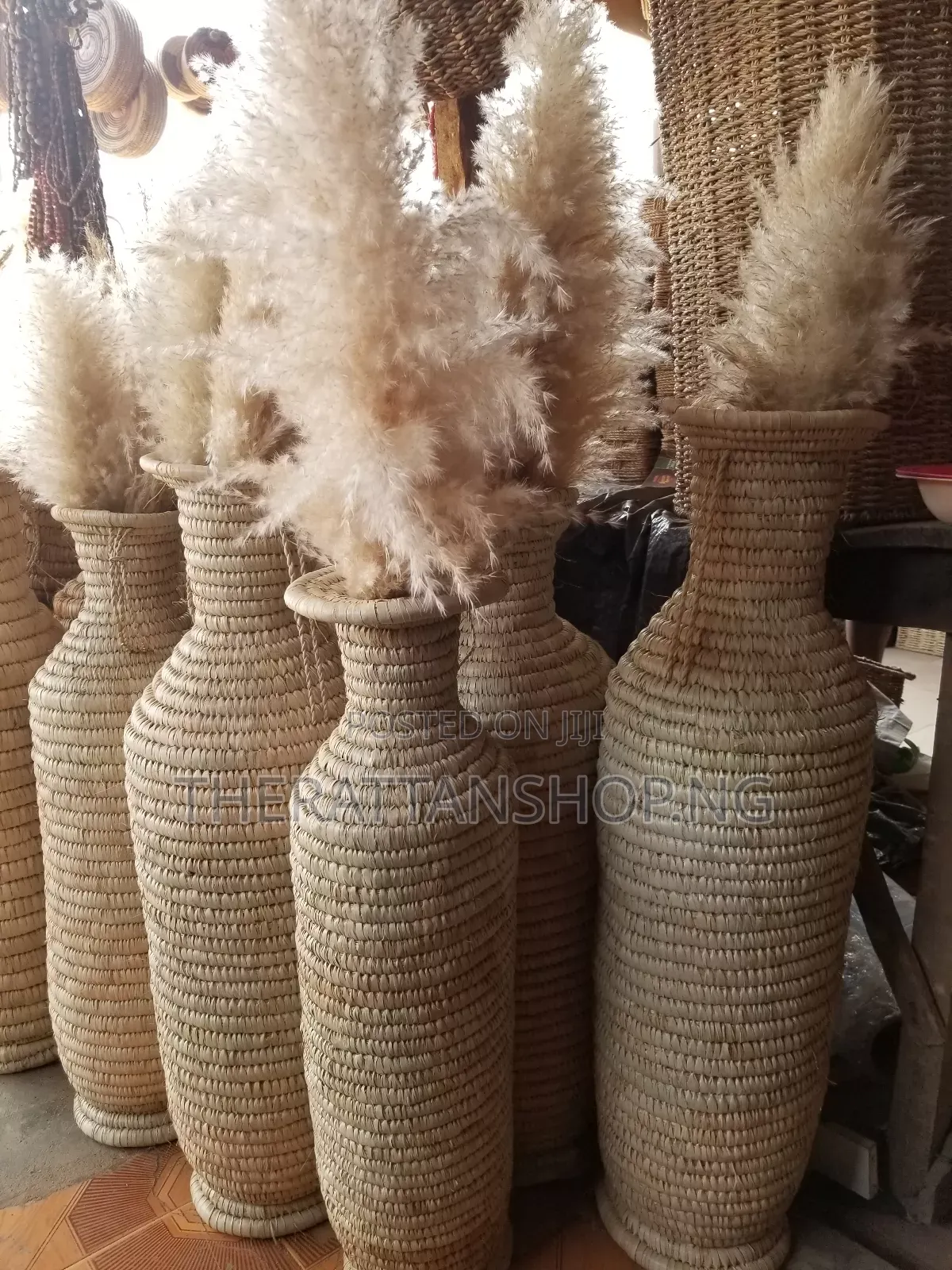 Foreign Panpas Grass