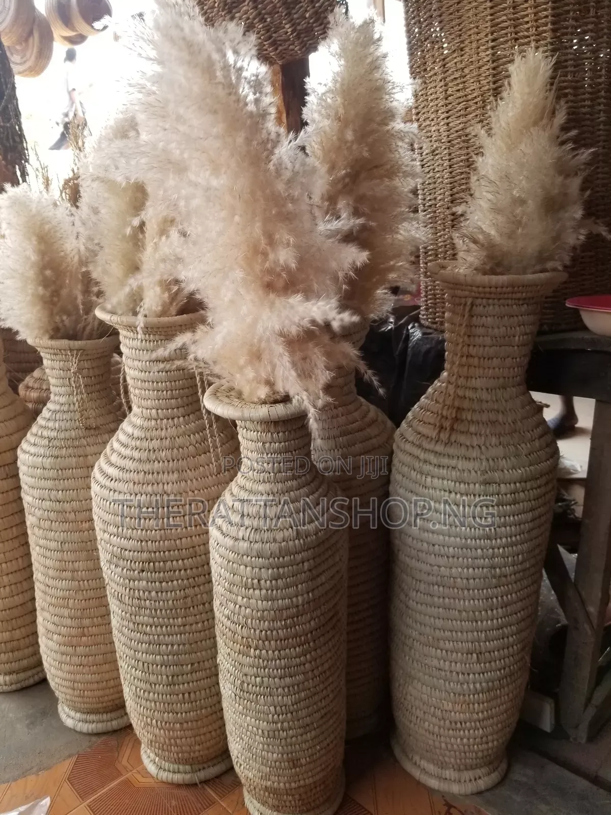 Foreign Panpas Grass
