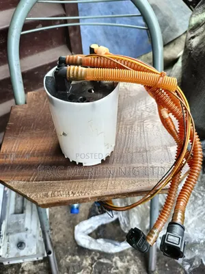 Complete Fuel Pump Porch Caranya