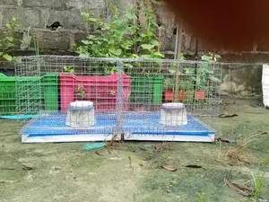 Photo - 2 Hutches Rabbit Cage