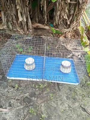 2 Hutches Rabbit Cage