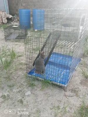 Photo - Semi Duplex Cages for Rabbits and Small Animals